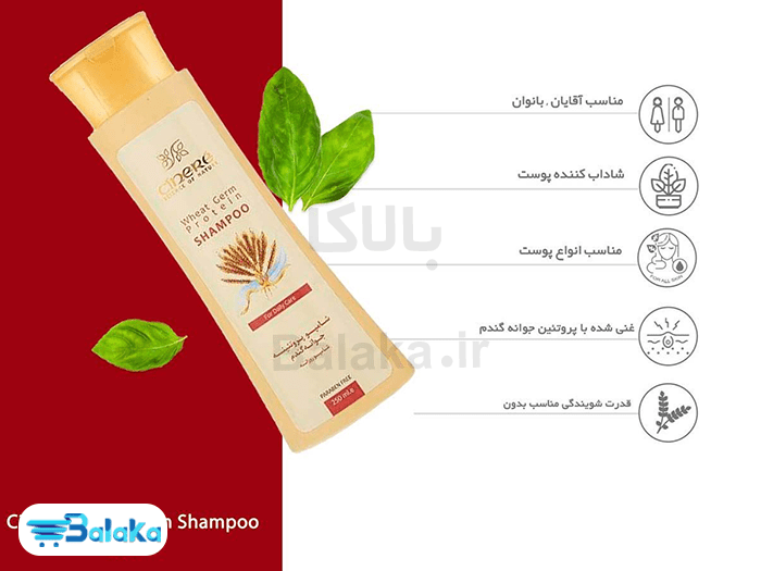 شامپو پروتئینه جوانه گندم سینره